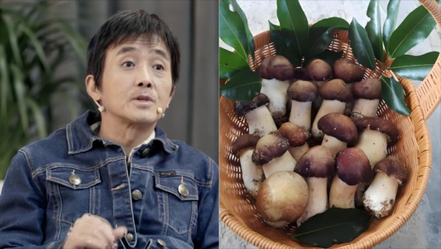 澳门酷知网免费资料大全网址,13位共和国勋章获得者6人已离世,展开计划实施_升级版V10.72